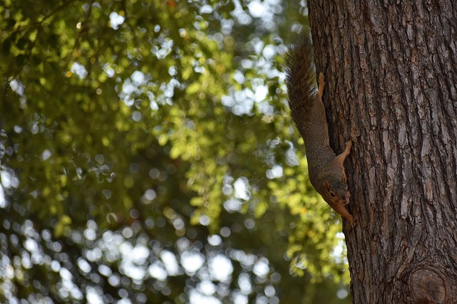 不仅因结果 不仅因结果