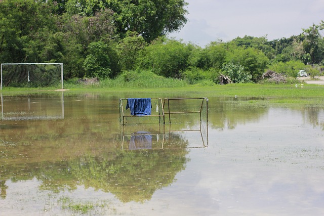 勇士独坐西部第六，库明加再次伤退，灰熊力争前五.